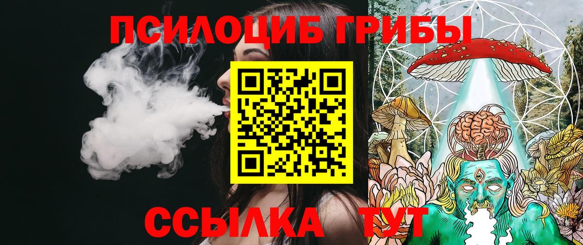 Жуковский  Галлюциногенные грибы MAGIC MUSHROOMS  Псилоцибиновые грибы мухоморы  Вход с VPN 