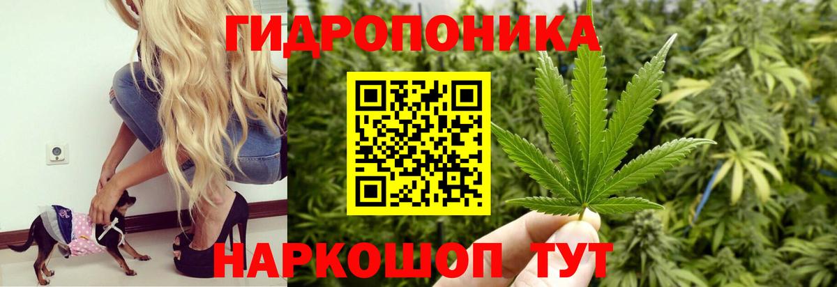 Марихуана план  Конопля план  Жуковский  Вход с VPN  Марихуана семена  МАРИХУАНА ГИДРОПОН 